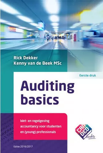 Auditing Basics